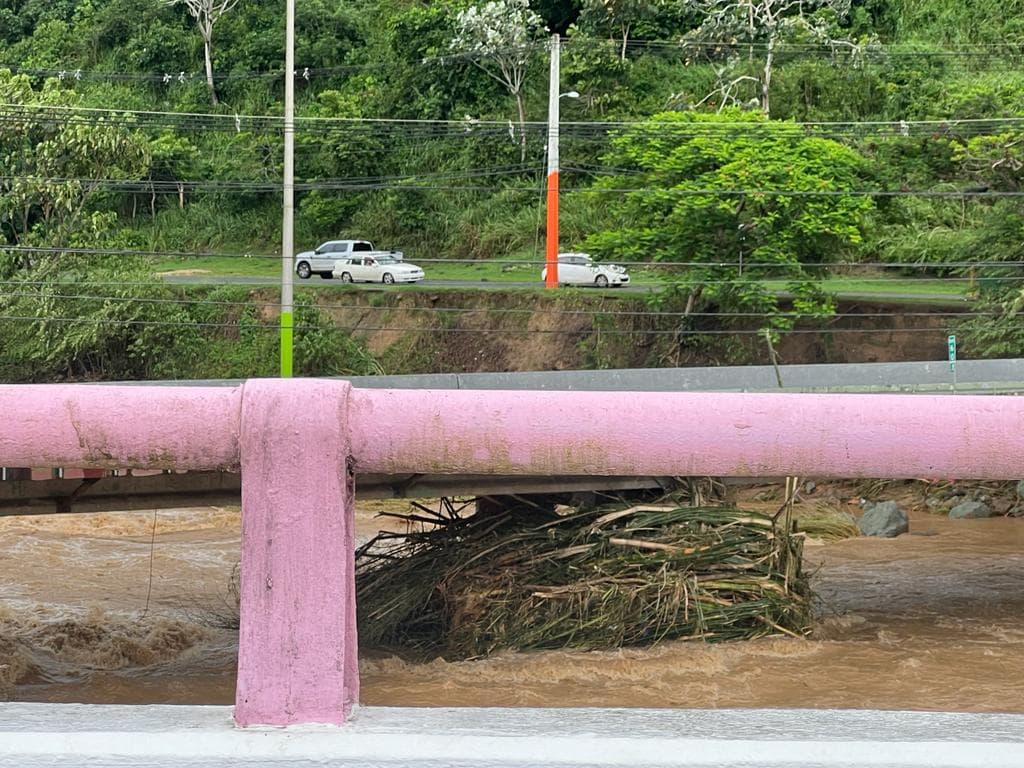 Ríos arrastran árboles y objetos que cayeron con el paso del huracán Fiona.