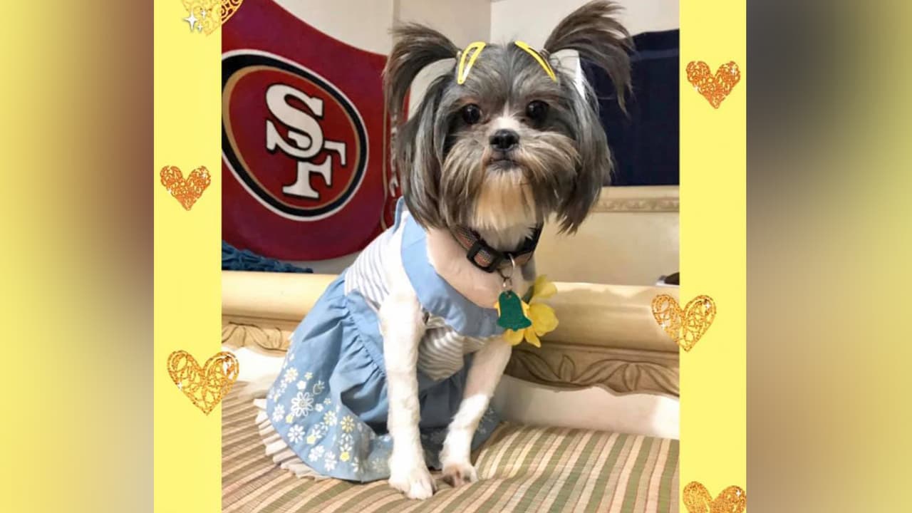 Alhelí Ayala - "Mi hija Cardi B 💛"