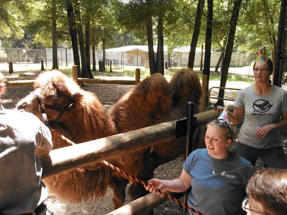 <b>Albany -</b> En esta ciudad del suroeste de Georgia puedes hacer muchas cosas; como pasar un día entero en 
<b><a href="https://www.chehaw.org/">Chehaw Park</a></b>, dar un paseo al aire libre por la sabana africana o alimentar a 
<b>Bogart, el camello de dos jorobas</b>. También puedes recorrer Flint RiverQuarium para obtener una lección sobre agujeros azules y criaturas acuáticas, y una oportunidad única de ver 
<b>un caimán albino</b>. Una parada en Thronateeska Heritage Center ofrece diversión científica, un espectáculo de planetario y una aventura especial en tren.