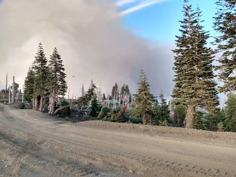 <a href="https://www.fs.usda.gov/mendocino/" target="_blank">Bosque Nacional Mendocino</a>: Este bosque ha sido afectado por el 
<a href="https://inciweb.nwcg.gov/incident/maps/6983/" target="_blank">complejo de incendios August</a>, que ha consumido 421,899 acres y ha sido contenido en un 24%.