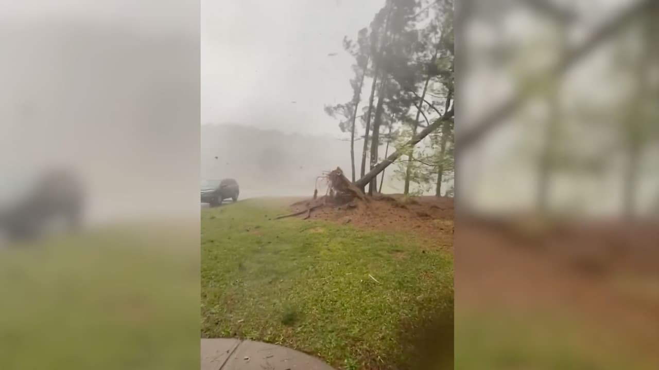 Quedó captado en video cuando un árbol fue arrancado de raíz durante fuerte tormenta en Georgia