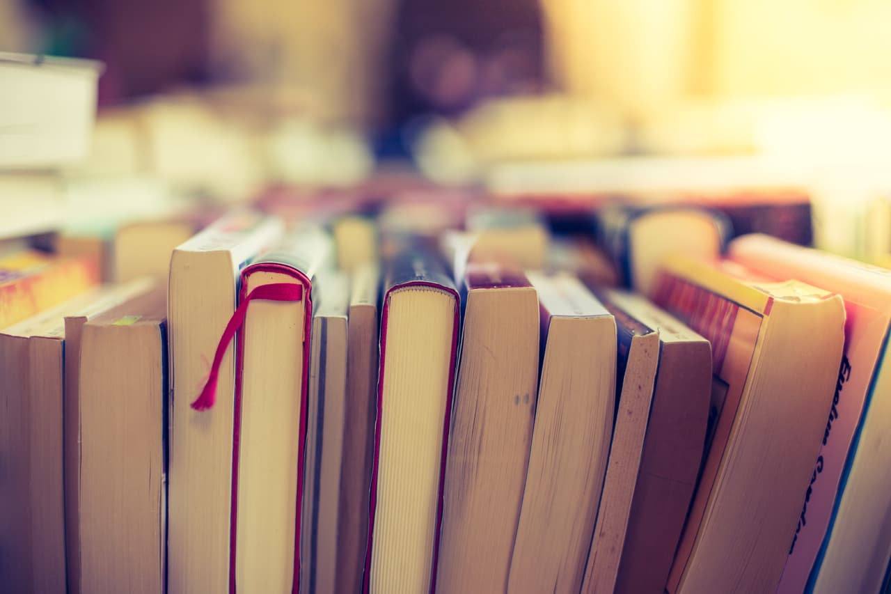 Libros y revistas, sin importar si son nuevos o usados y siempre y cuando se puedan transportar dentro de uno de sus equipajes.