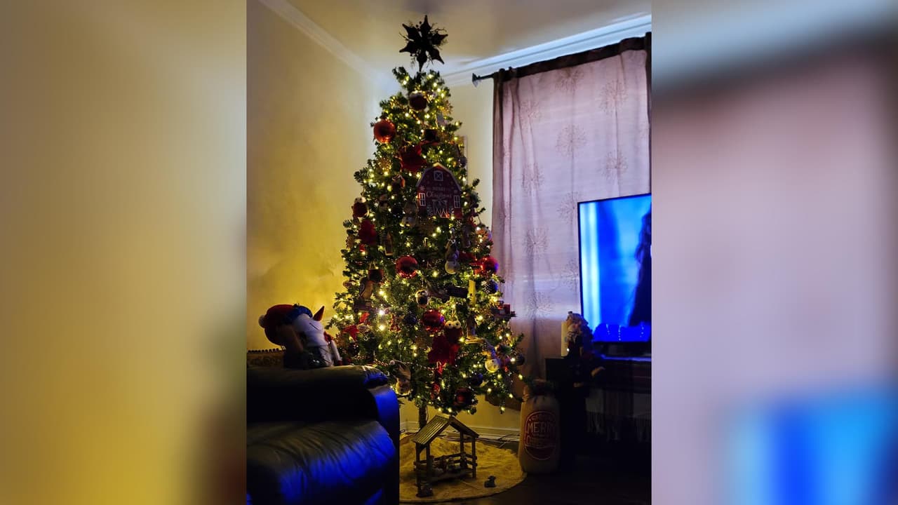 "El mío ya está", dijo Lupita Morales Andujo.