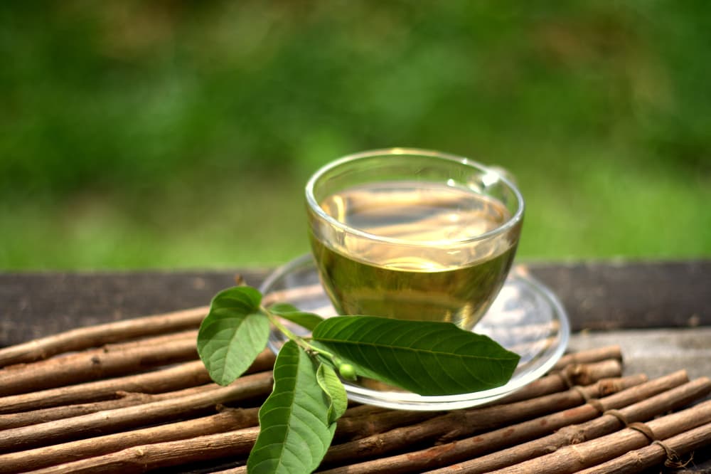 El té de hojas de guayaba también es buenísimo para personas con diabetes, puesto que ayuda a reducir los niveles de glucosa en la sangre sin causar un aumento en la producción de insulina.