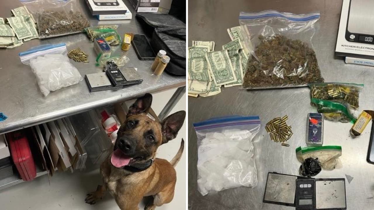 Metanfetamina, heroína, marihuana y balas: lo que hallaron una pick up en Livermore