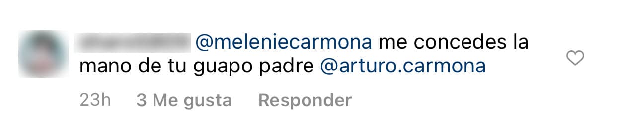 Pero fue en la sección de comentarios en donde una fan le lanzó un piropo al llamarlo "guapo" y además le pidió a su hija Melenie, de 22 años, si le "concedía la mano" de su famoso padre. 
<br>