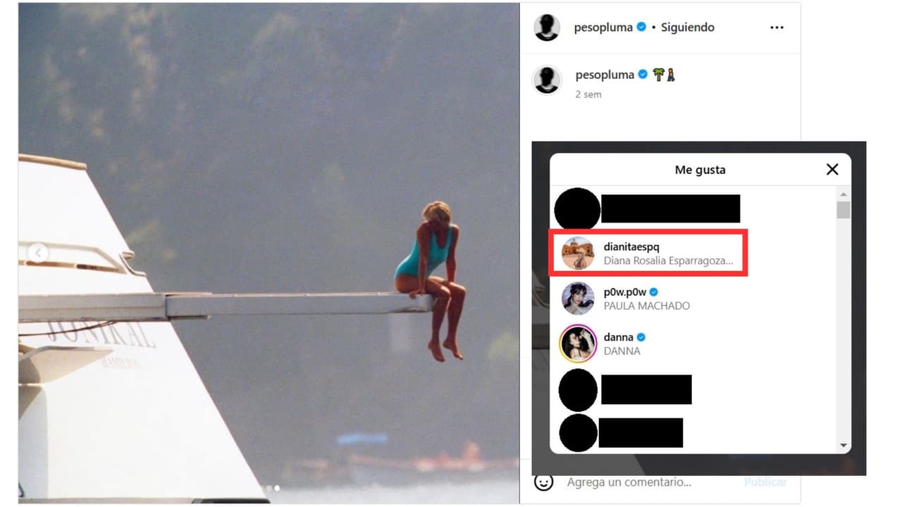 Peso Pluma hizo una publicación incluyendo a la princesa Diana, y Diana Esparragoza le dio 'like'.