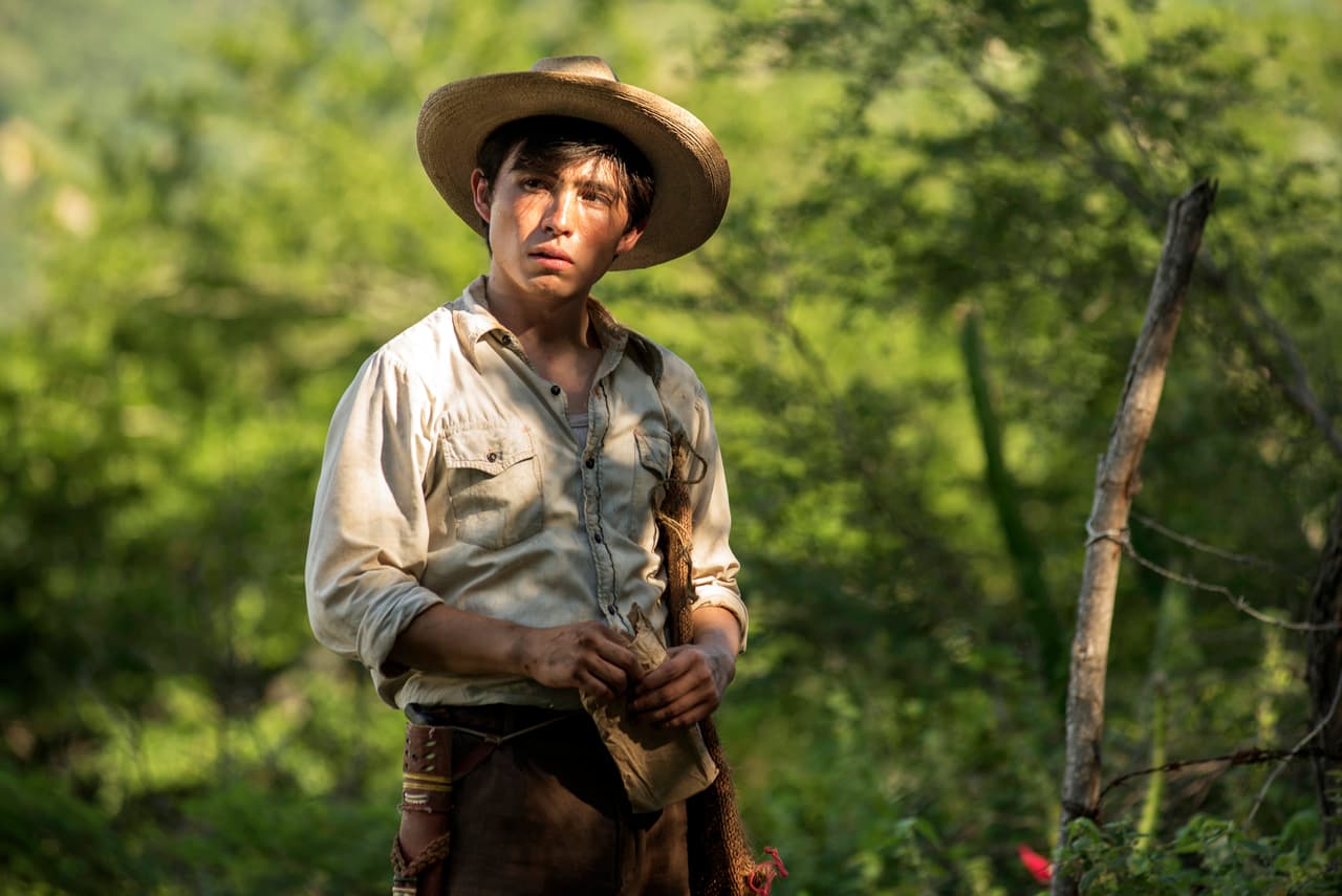 Tarde a tarde cuidaba de sus plantíos de amapola para mantenerlos a la perfección.