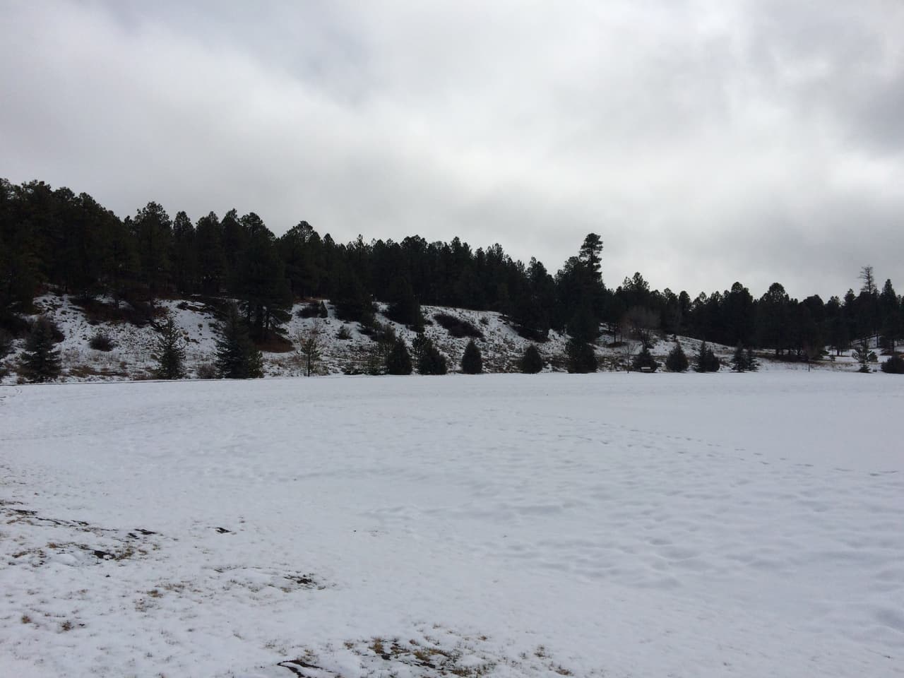 Las tormentas han dejado cubierto de nieve el norte de Arizona, desde Flagstaff hasta la zona de Monument Valley.