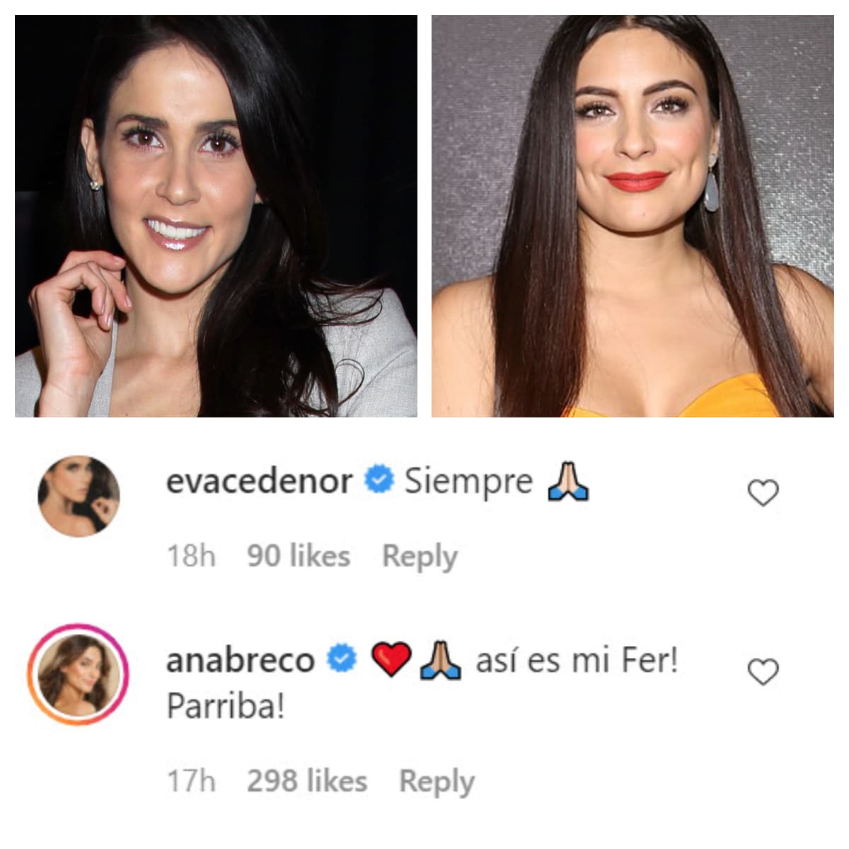 Eva Cedeño y Ana Brenda Contreras fueron otras de las famosas que celebraron la vida de su colega y sus deseos por concentrarse en el futuro. 
<br>