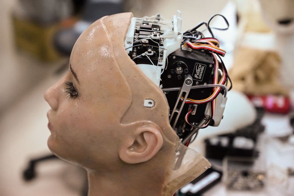 ¿Serán las máquinas más inteligentes que los humanos o lograrán engañarnos mejor?