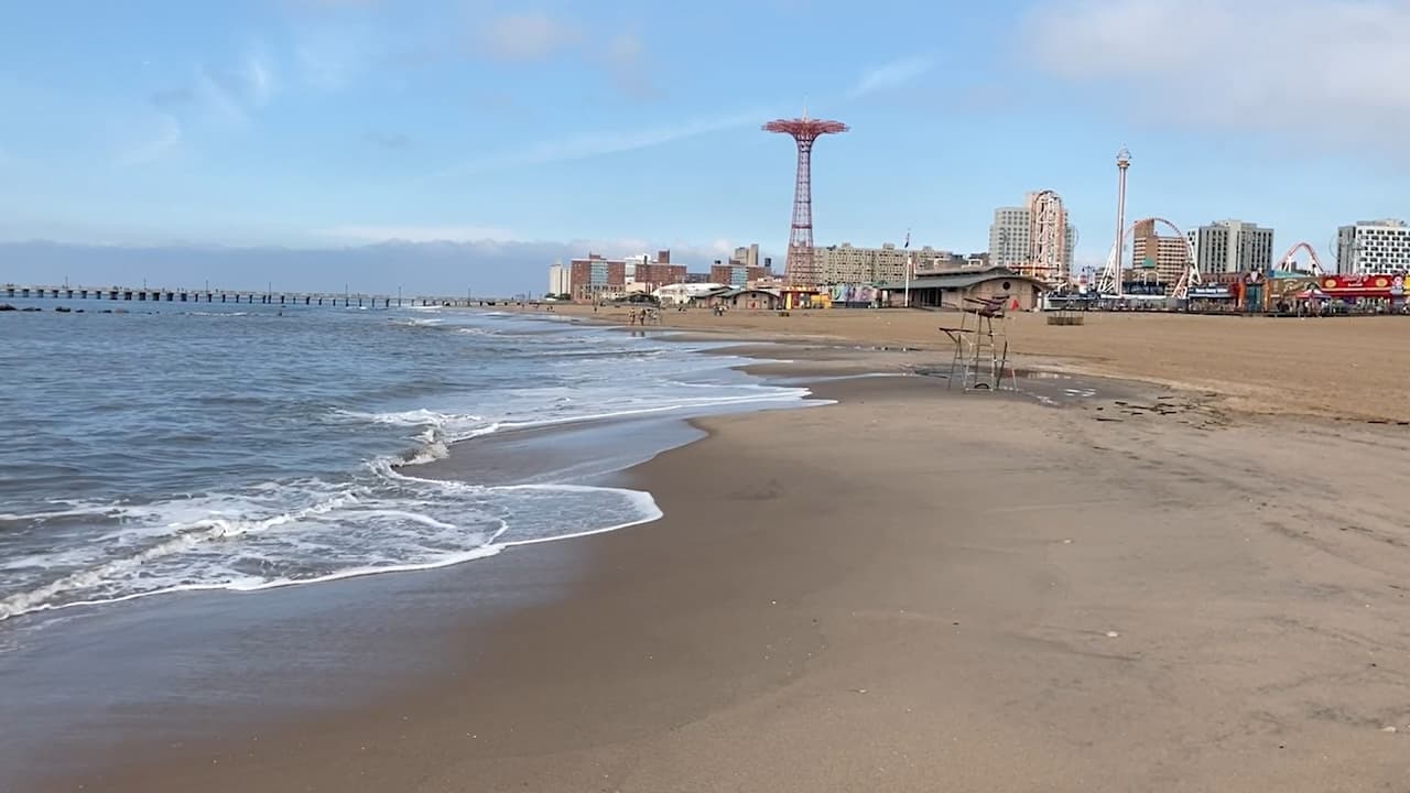 Tres niños mueren tras aparente ahogamiento en Brooklyn; su madre queda detenida