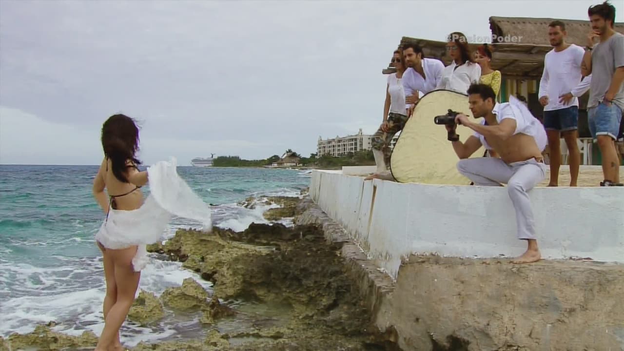 Se mostró muy profesional al hacer su trabajo.