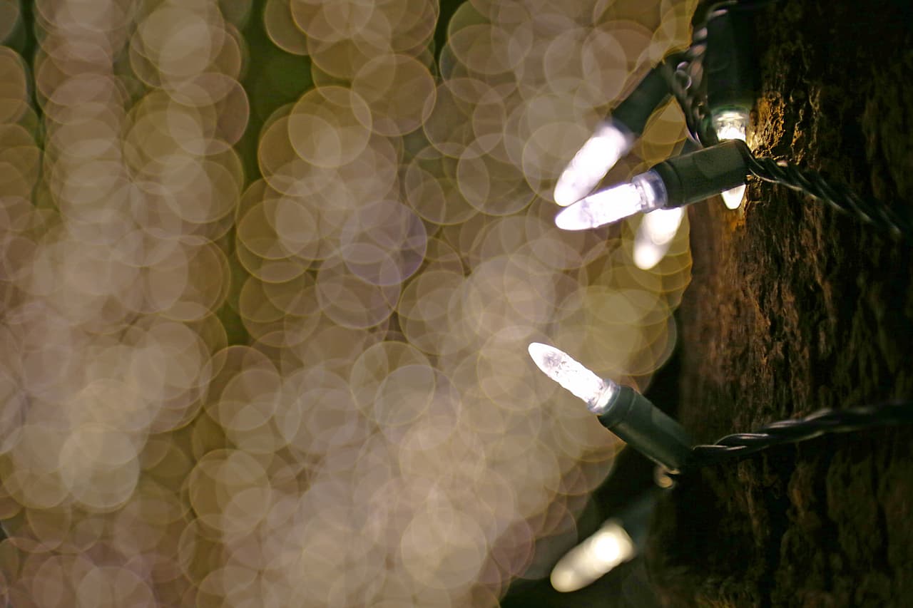 Un acercamiento para poder apreciar la maravilla del color y la luz.