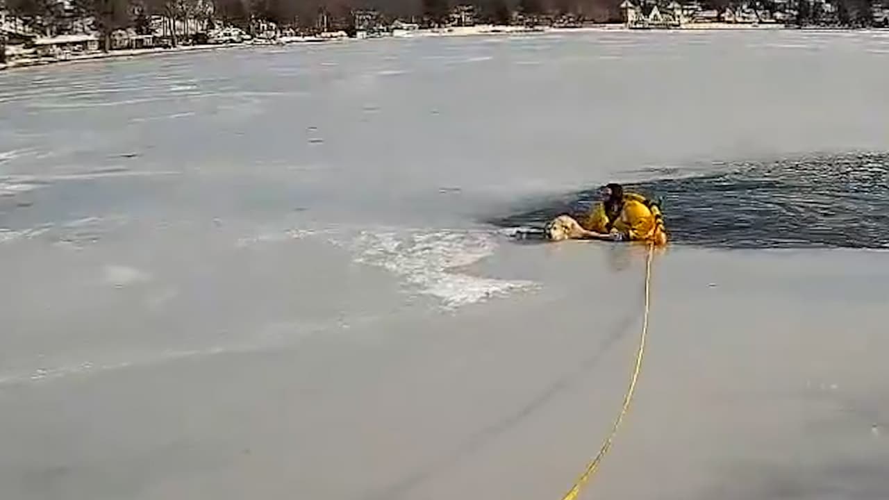 En video: Un policía rescata a un perro de un lago congelado en Nueva Jersey