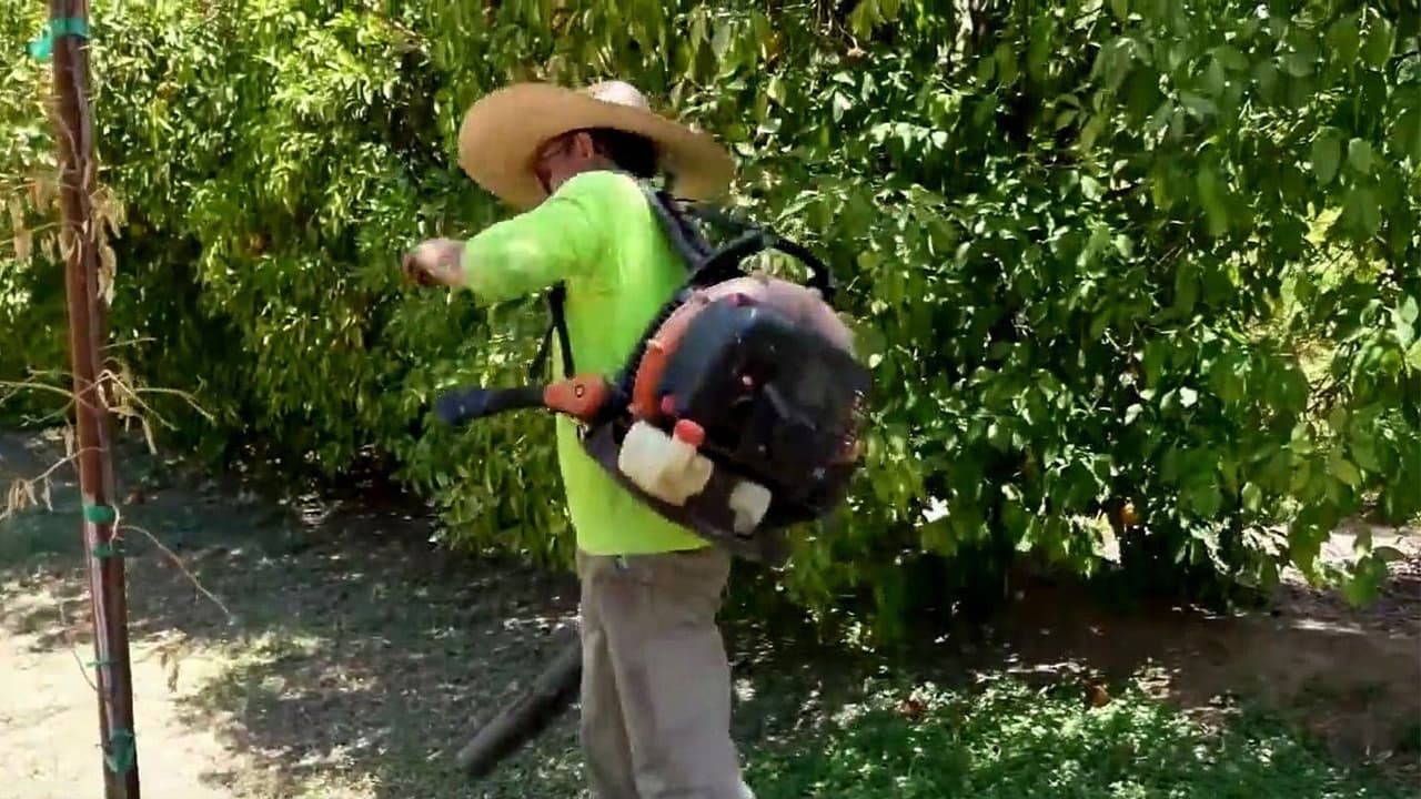 Millones en riesgo por altas temperaturas: Una muerte en Arizona; trabajadores alertan por los riesgos de sus actividades