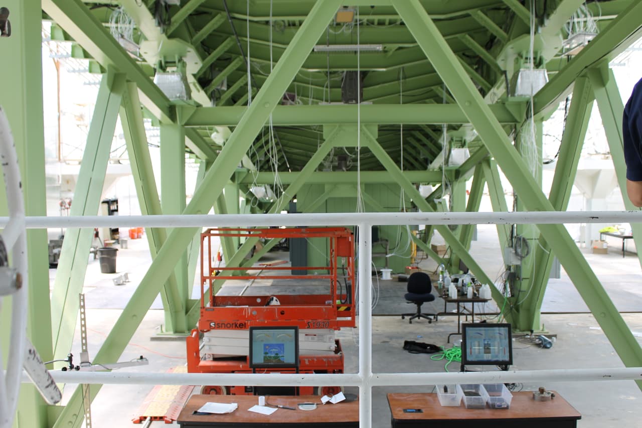 LEO un nuevo experimento