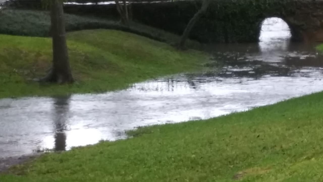 Juana Soto - "Donde vivo camino Real"