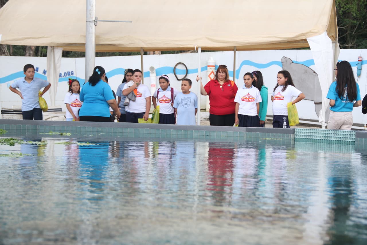 Circolandia comenzó como un proyecto de la universidad pero la creatividad y las ganas de crear un producto local para los niños, los ha llevado a la pantalla chica. Ahora puedes disfrutarlo en familia los domingos por Univison Puerto Rico.
