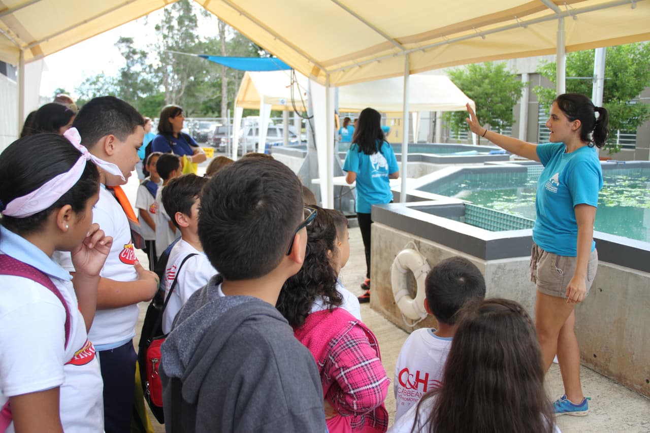 Circolandia comenzó como un proyecto de la universidad pero la creatividad y las ganas de crear un producto local para los niños, los ha llevado a la pantalla chica. Ahora puedes disfrutarlo en familia los domingos por Univison Puerto Rico.
