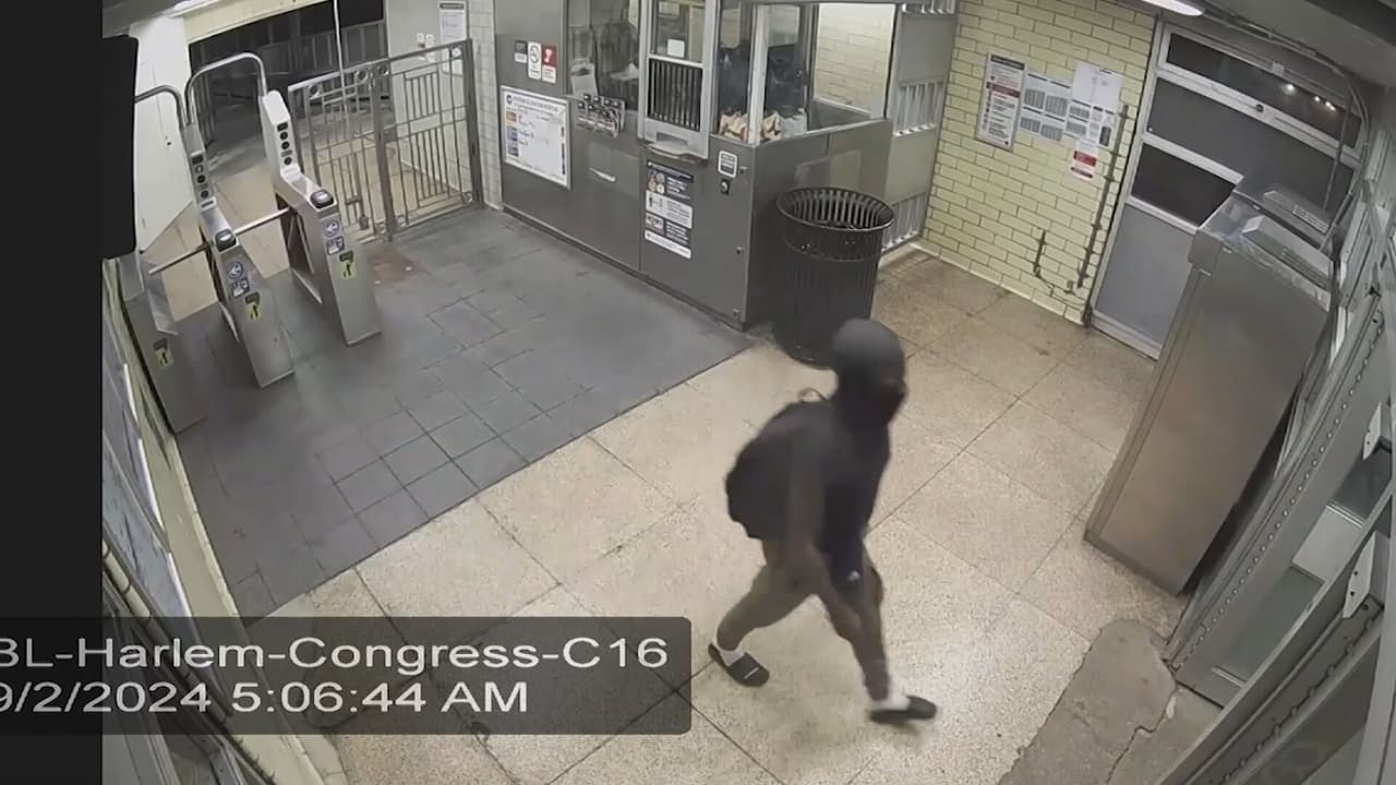 Según las autoridades, Rhannis Davis, vestía una playera negra y pasamontañas negro que cubría parte de su rostro. 
<b>El sospechoso presuntamente habría abandonado la línea azul y regresó 15 minutos después para abordar otro tren.</b>