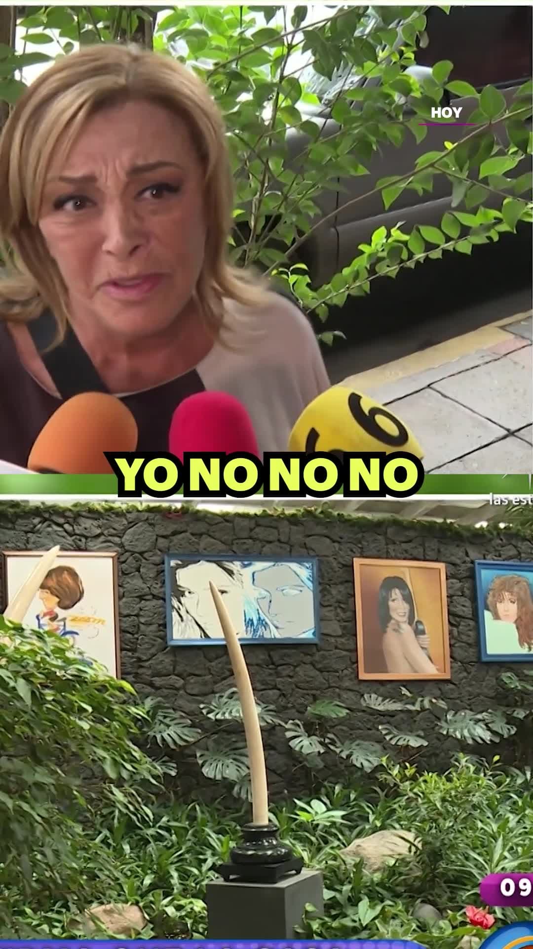 VENDERÁN la casa de doña Silvia Pinal
