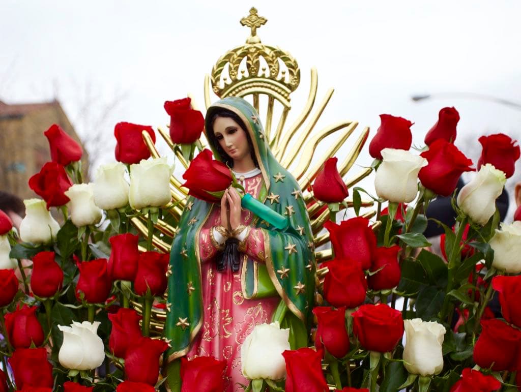 El recorrido se hizo por algunas calles de Berwyn, evento organizado por la iglesia san Odilo. Un amor, un respeto ademas de agradecimiento que estos fieles católicos le mostraron.