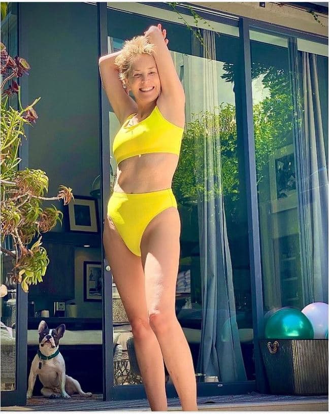 Sharon Stone posa en bikini