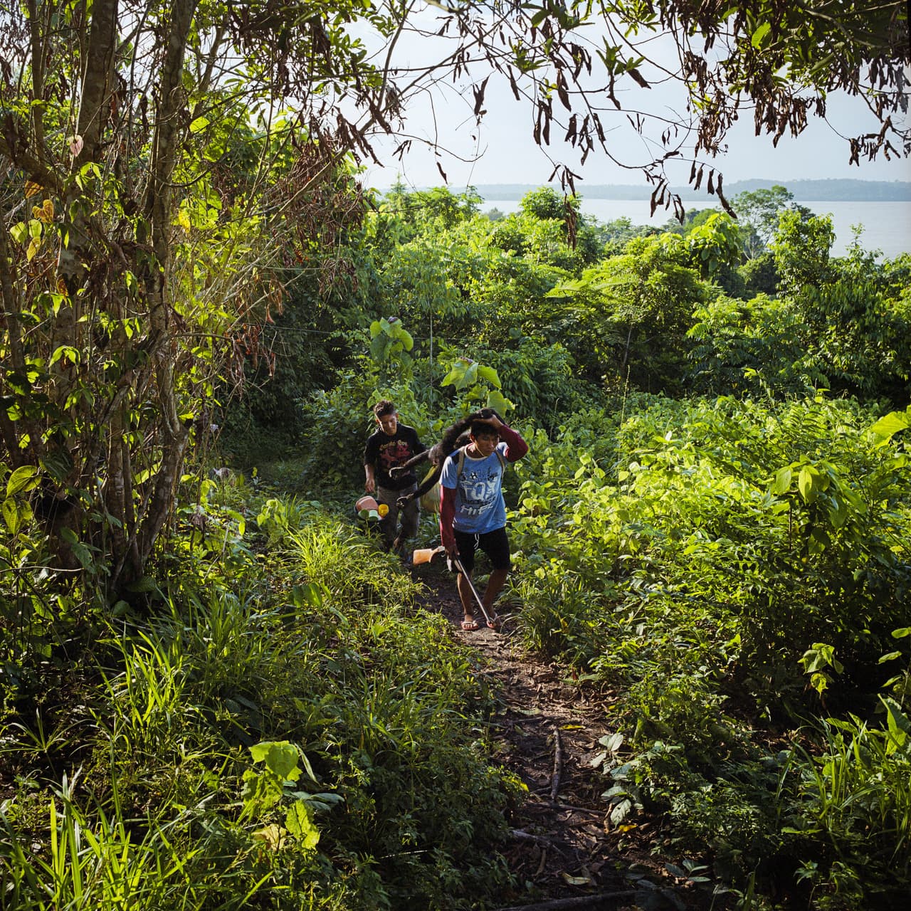 Hombres Munduruku vuelven a casa después de días de caza en la aldea de Sawre Muybu. Los Munduruku son un pueblo de unas 12,000 personas que han vivido en las orillas del río Tapajos desde antes de la colonización. Sus tierras están amenazadas por el complejo hidroeléctrico de la represa de Sao Luiz Do Tapajos, que inundaría sus territorios para siempre.