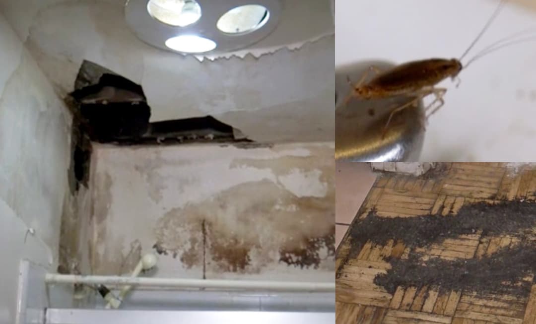 Familia paga renta por apartamento en estado deplorable: dicen que el dueño no responde por los daños