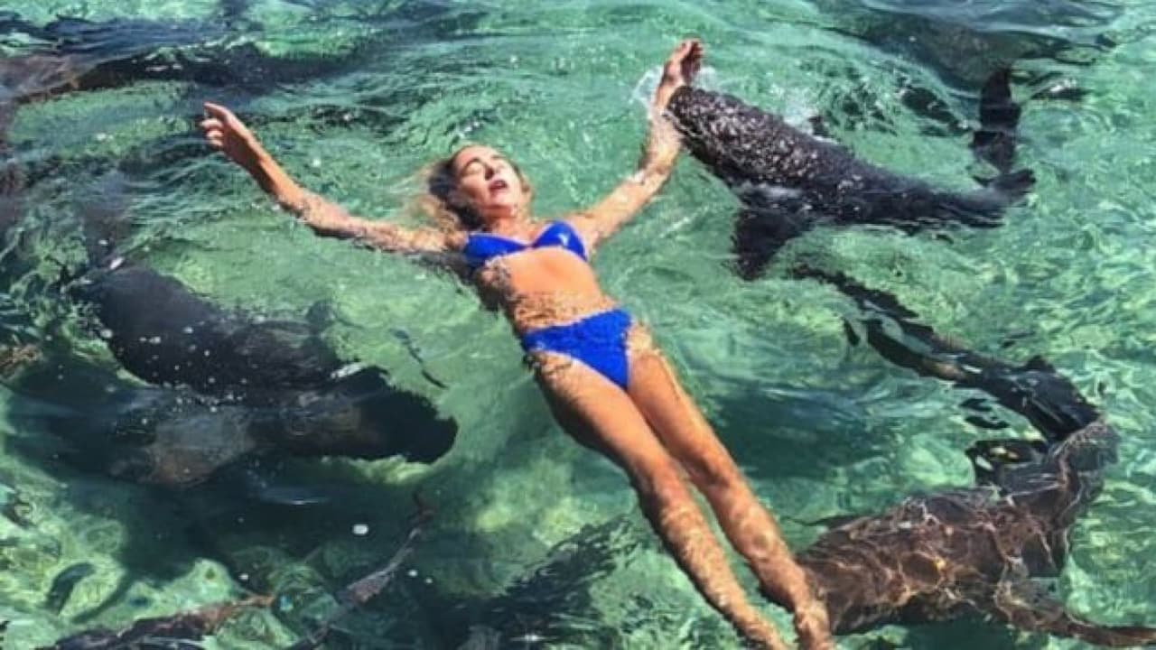 A esta modelo la mordió un tiburón mientras posaba para la cámara