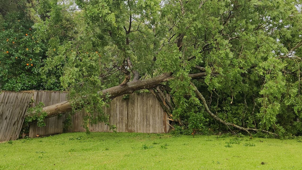 Fotogafía de Yanira Guzman Portillo.