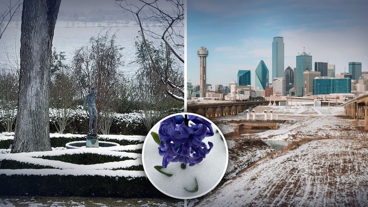 Recuento en imágenes del paso de la tormenta invernal en el norte de Texas 