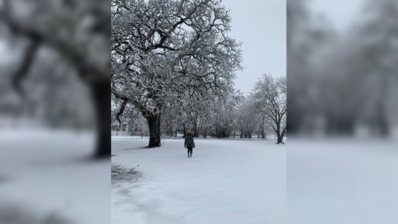 Caldwell, Texas está cerca de College Station y es donde Mayra Carvajal tomó esta foto.