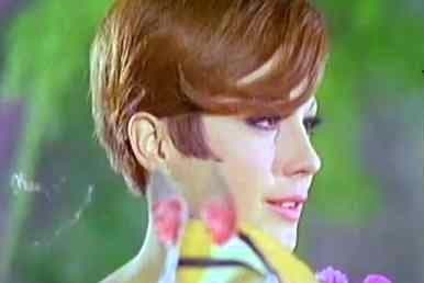 En 1967 Julissa rompió el molde y acabó con su imagen virginal de niña buena al encarnar a la valerosa, inquieta y sensual 'Paloma' en 'Los Caifanes', una cinta clásica del cine mexicano postmoderno, escrita por Carlos Fuentes.