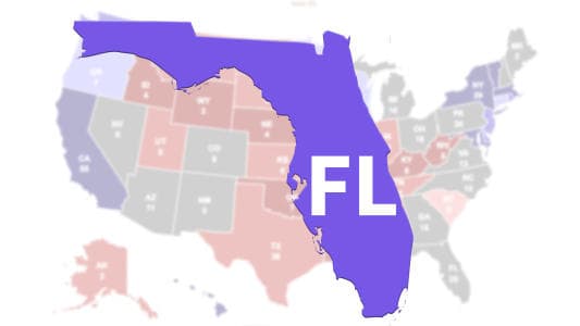 Trump wins Florida on back of white votes, rural and suburban (UPDATED)