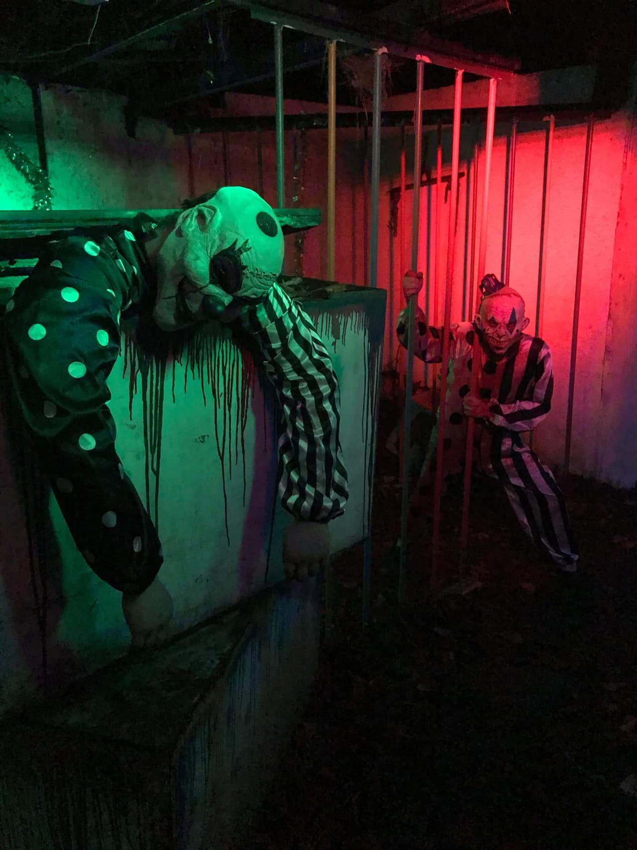 <b><a href="https://www.facebook.com/ChaosHaunted/" target="_blank">Chaos Haunted House (Carrollton)</a></b>: El tema de esta casa de los horrores es la confusión y desorden absoluto. Hay secciones de tono negro en las que tendrá que caminar a tientas para escapar, secciones ruidosas y secciones en las que te debes arrastrar. No se recomienda para menores de 12 años o personas con problemas de salud graves.