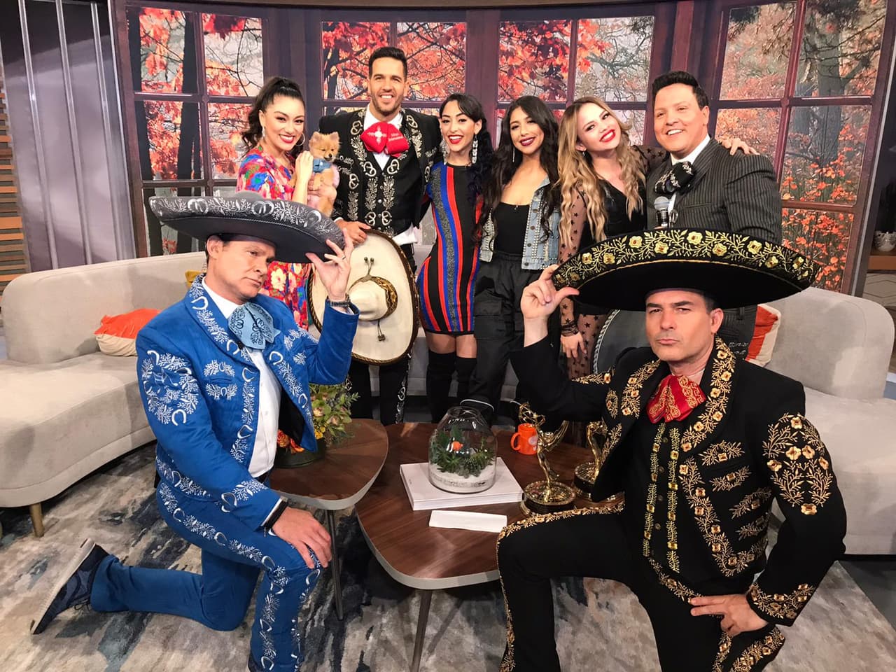 Este viernes 22 de noviembre las participantes de 
<a href="https://www.univision.com/shows/reina-de-la-cancion" target="_blank">Reina de la Canción</a> llegaron a Despierta América para buscar a 'El rey de la canción'.