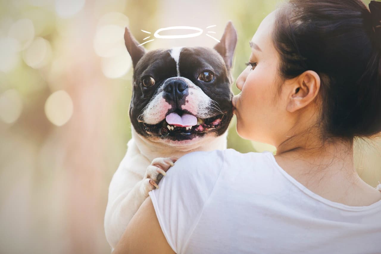 El precio de clonar una mascota