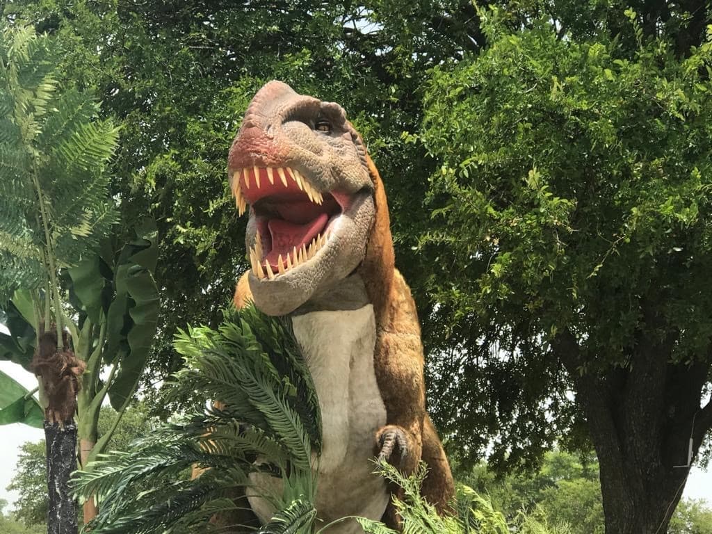 Más de 70 especies de Dinosaurios forman parte de esta exhibición.