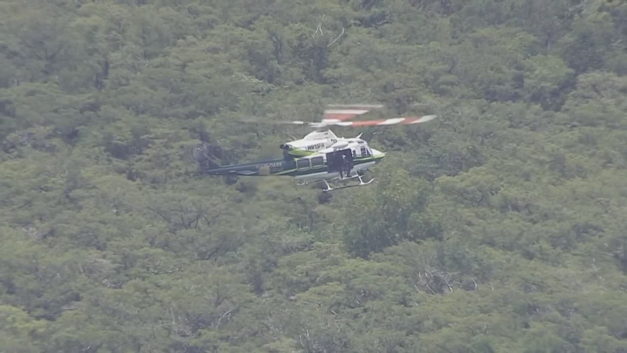 Se estrella un helicóptero en una zona boscosa de Coconut Creek