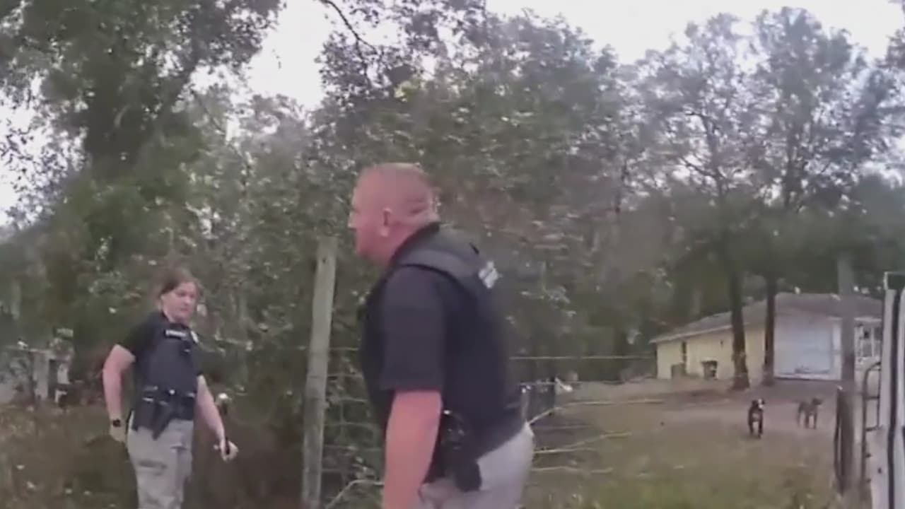 Niño de 8 años muere tras ser atacado por dos perros cuando intentaba acariciarlos