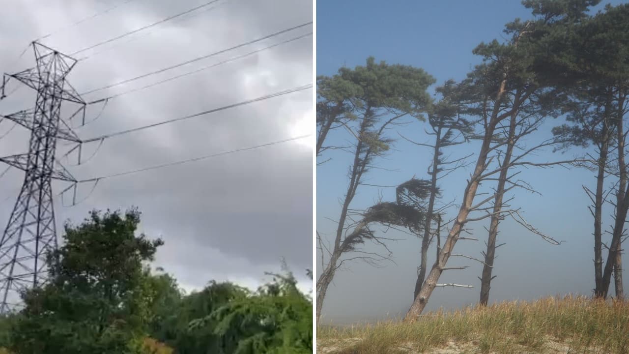 Ráfagas de viento en el Valle Central: qué hacer para cuidar de tu salud y cómo evitar accidentes