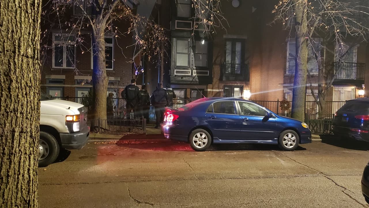 Capturan a un coyote en el área de Lincoln Park después de intensa búsqueda