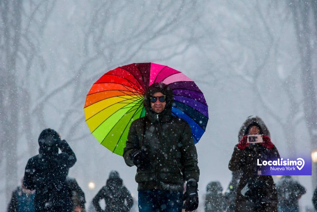 Dónde tomar las mejores fotos cuando cae nieve en NYC