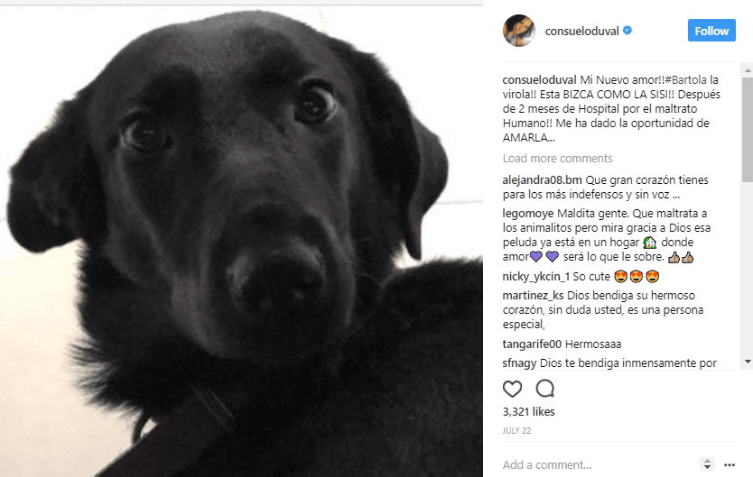 Hace algunos meses, la comediante le dio la bienvenida a ‘Bartola’, la nueva integrante de la familia que fue rescatada del maltrato humano.