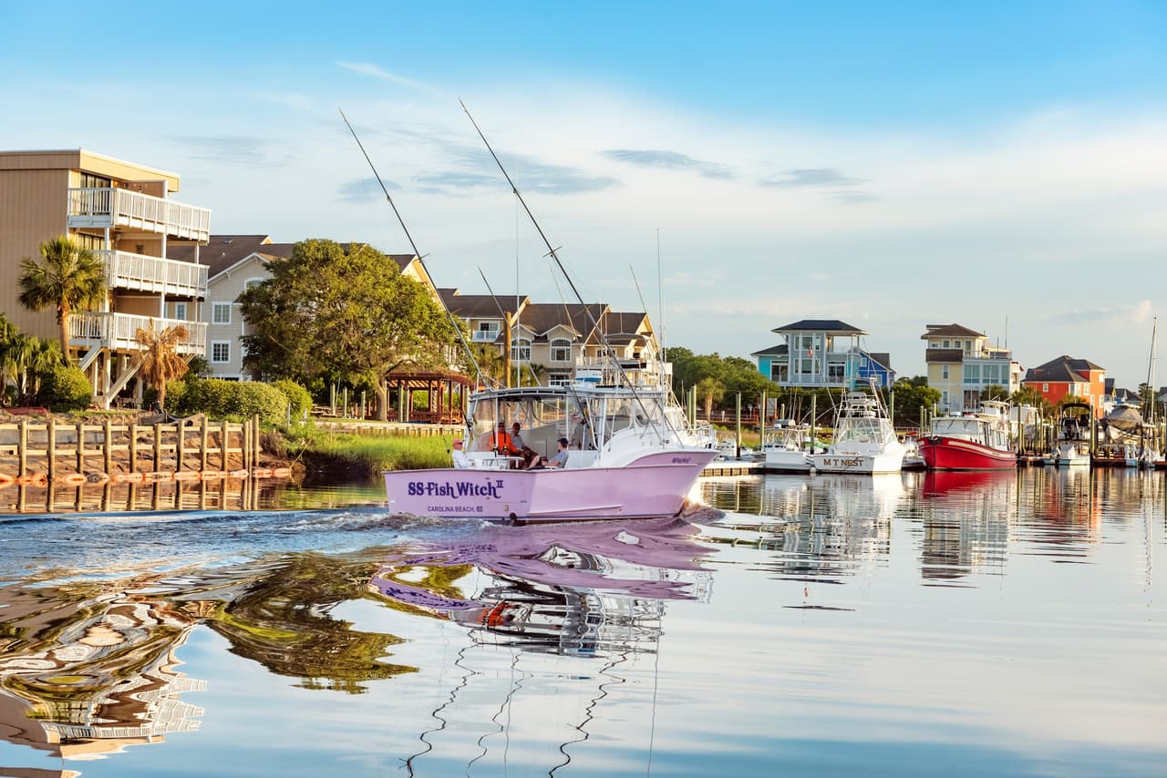 En el lado opuesto del paseo marítimo, encontrarás olas increíbles y arena suave. Cuando necesites un descanso del paseo marítimo y la playa, podrás dar un paseo por el Parque Estatal Carolina Beach para intentar ver una de sus famosas plantas Venus atrapamoscas.