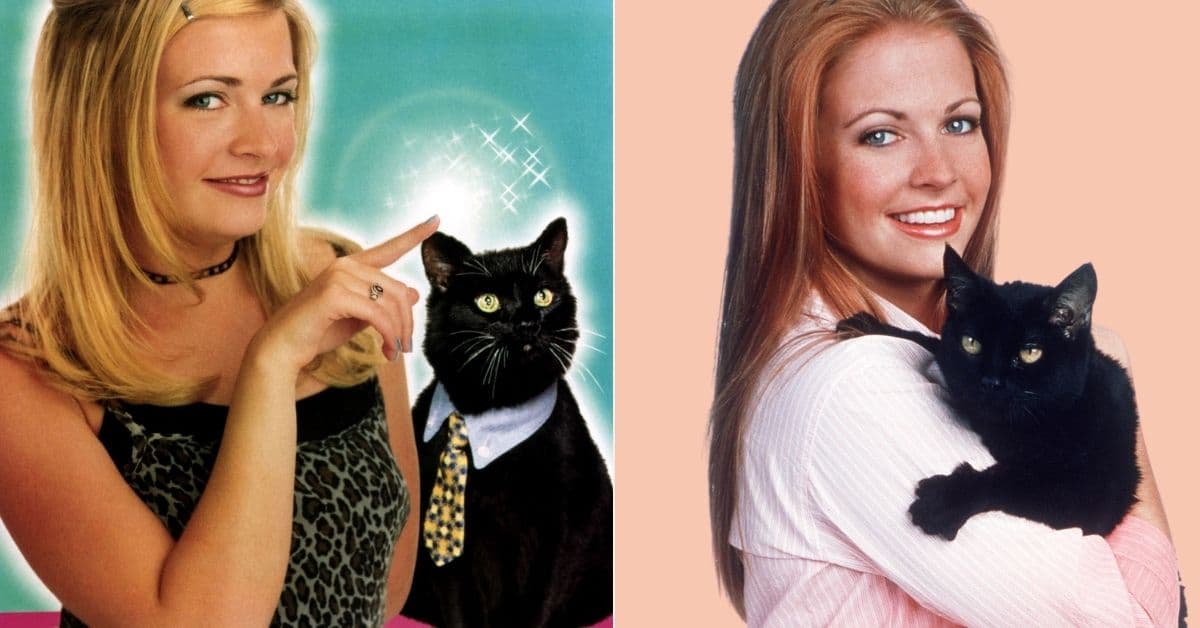 Las mejores frases de Salem, el gato de Sabrina: perfectas para quejarnos de la vida