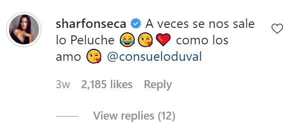 En la respuesta que le dio a la actriz mexicana, Sharon Fonseca reconoció que a ella y al italiano les "sale lo Peluche" de vez en cuando y le mostró su admiración.