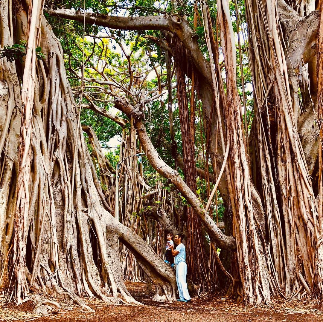 "Paré mi vida para ser padre, una segunda madre, al principio mi bebé me decía mamá también, claro aquí estoy entrando en todo", señaló.